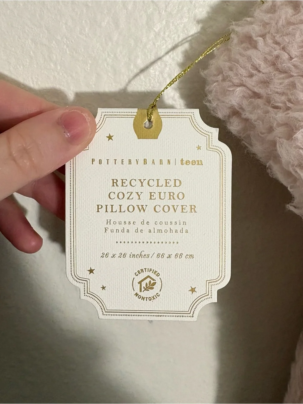 Pottery Barn Teen Cozy Euro Sherpa Pillow Cover NWT 26”x26”